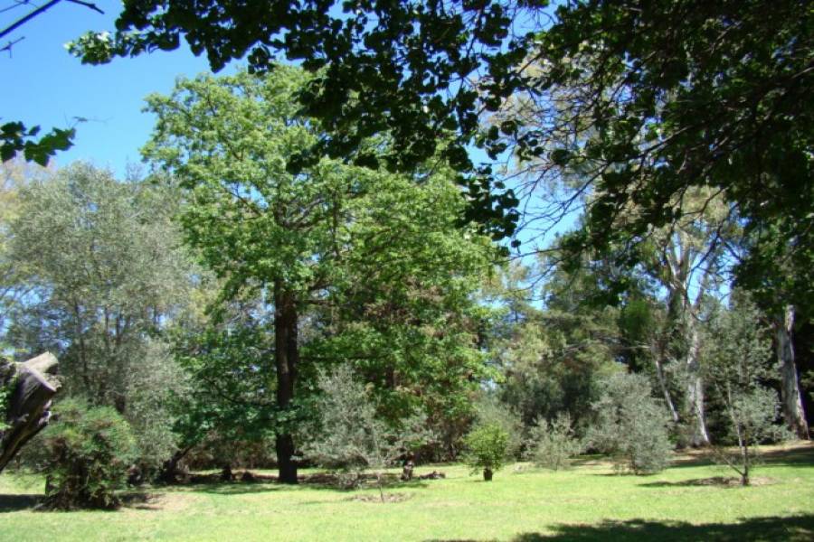 San Javier,Córdoba,Argentina,6 Habitaciones Habitaciones,5 BañosBaños,Chacras-Quintas,1360